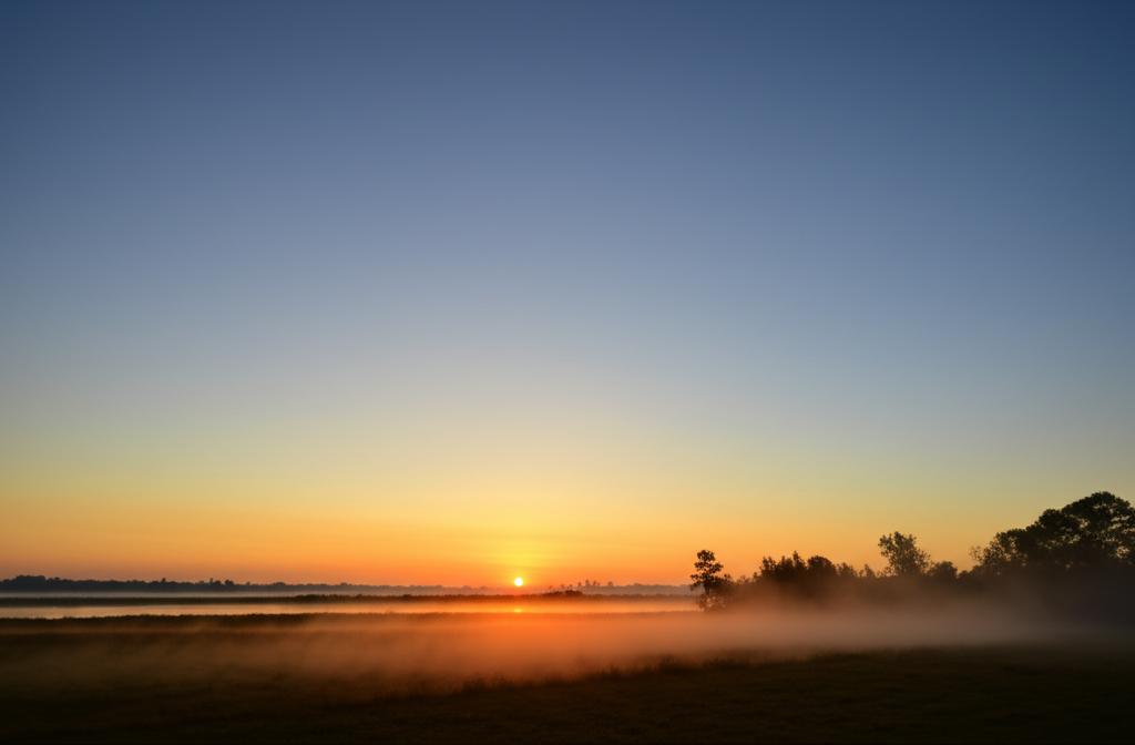 serene sunrise symbolizing hope and new beginnings